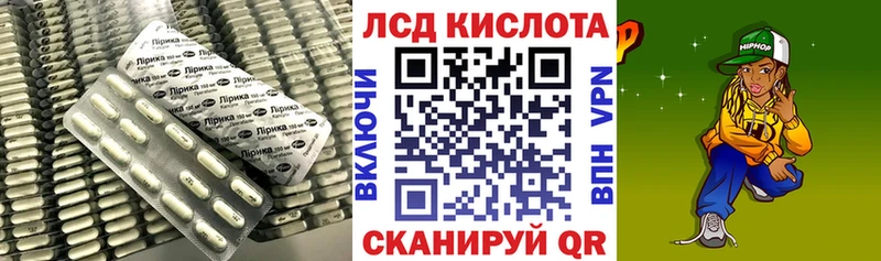 omg ТОР Ядрин shop наркотические препараты Лсд 25 экстази кислота