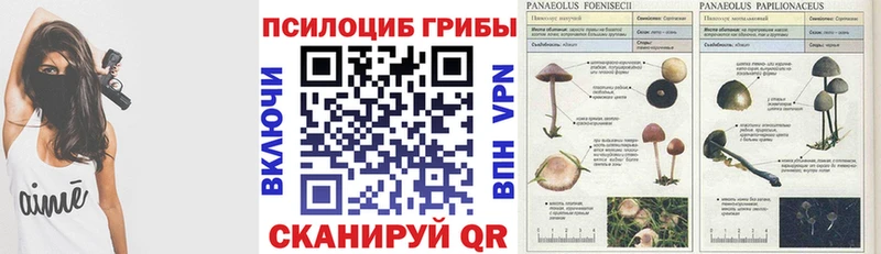 Галлюциногенные грибы Cubensis Ядрин